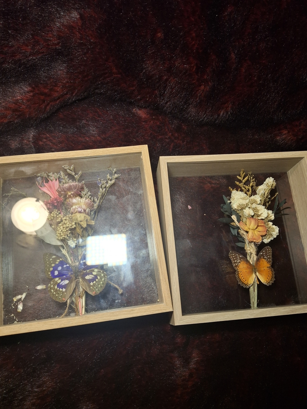 Decorative Framed Dried Flower and Butterfly Wall Art - Set of 2 - Natural Wood